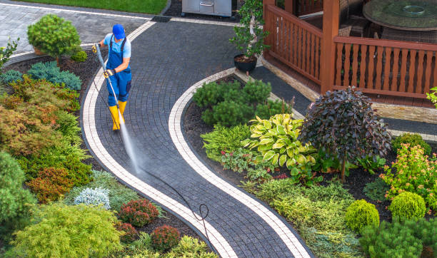 Best Roof Pressure Washing  in South Highpoint, FL